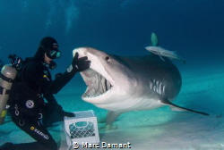 All about trust! by Marc Damant 